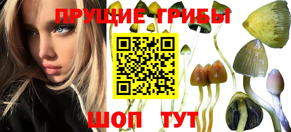 Псилоцибиновые грибы мухоморы  Вход с VPN  Нарьян-Мар 
